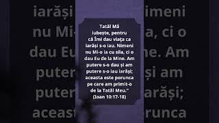 Ioan 10:17-18 #Biblia #Biserica #Hristos #versetulzilei