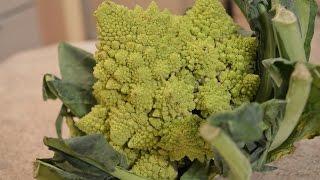Ontario Romanesco Broccoflower at Harvest Barn Country Markets: What I Say About Food