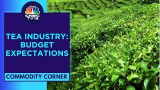 India's Tea Industry Urges For Tea Promotion Policy In Interim Budget 2024 | CNBC TV18