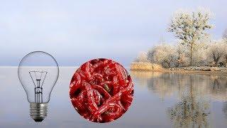 Зимняя рыбалка. Кормушка привлекающая рыбу.