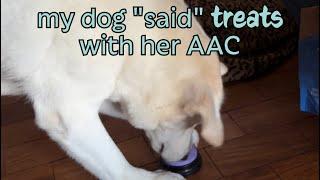 I taught my dog to "say" TREATS