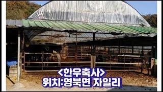 [좋은 매물] 포천 한우축사 + 주택