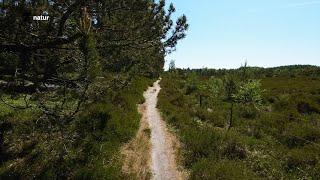 Vrads Sande: Oplev naturens skønhed og indre ro