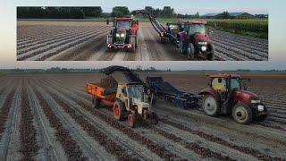 Loading onions | Mts. Bos | 4x Case | Uien laden en inschuren | 2024 | SU-Tech