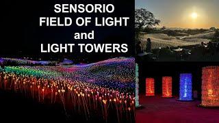 Sensorio Field of Light and Light Towers - a must visit in California