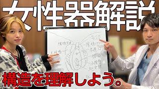 【女性器のお勉強 】意外と知らない「あそこ」の役割！ 永久保存版。