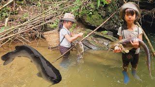 Fish trapping technique,poor girl Linh Dan:Fish trap with parachute wire caught catfish weighing 4kg