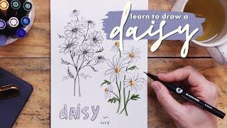 How to Draw Daisies w/ FREE Worksheet!