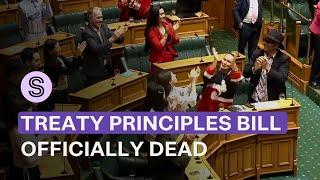 Treaty Principles Bill consigned to the ‘scrapheap of history’ - for now | Stuff.co.nz