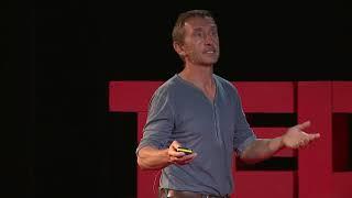 Why we all need to learn to love insects | Dave Goulson | TEDxBratislava