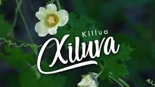 Killua_Xiluva