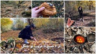 hiking at forest |پیاده روی طولانی در جنگل (ولاگ پرمحتوا)