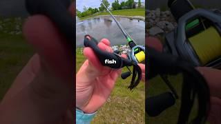 I Fished with a FROG 