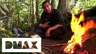 Bear Grylls' Ultimate Wilderness Survival Tips | Bear Grylls: Escape From Hell