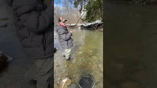 Fly Fishing For Ohio Steelhead #fish #outdoors #fishing