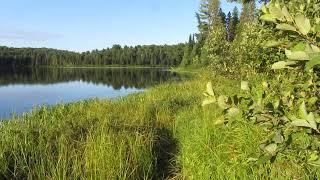 Peaceful Morning at Algonquin Provincial Park Campsite