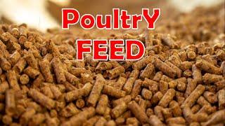 Basic information about making your own poultry feed at home  | How to make poultry feed | feed form