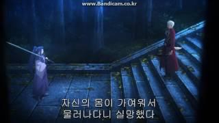 페스나 ubw 아쳐vs어쌔신