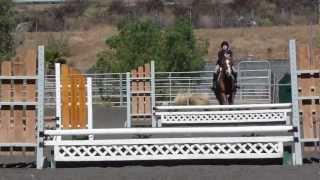 2012-2013 IEL - Show #1 Zoe Brown Novice Working Hunter