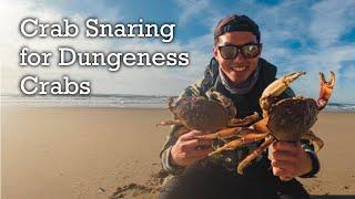 Crab Snaring for California Dungeness Crabs from the beach | Catch and cook