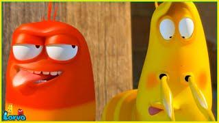 LARVA SEASON 1 EPISODE 50 ~ 100: TheChaser - LARVA NEW VERSION 2025 - LARVA CARTOON MOVIES