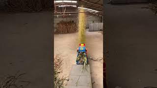 7.5 kW motor, 5 ton automatic feeding grass chopping and shredding machine for wet and dry use