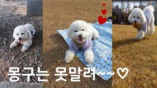 Monggu is so cute
