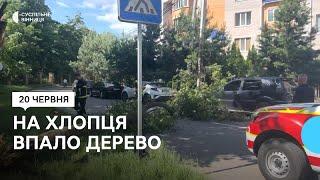 У Вінниці на хлопця впало дерево: що відомо