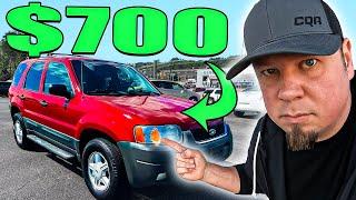 DEALERS ARE BROKE & CAN'T BUY, So I BOUGHT 9 CARS In ONE DAY!