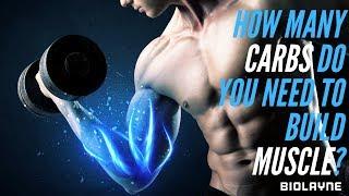 How many carbs do you need to build muscle?