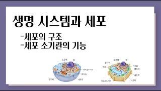 세포와 생명 시스템 l 세포의 구조