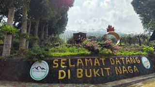 Wisata Alam - Destinasi Wisata Bukit Buah Naga Agro Jollong 2 Desa Sitiuluhur, Kecamatan Gembong