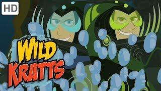 Wild Kratts ⭕ Activate Deep Blue Water Powers! | Kids Videos