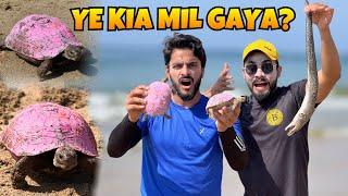 Ye Kia Hay? | Pink Turtle Ko rescue karlia | MISHKAT KHAN | Pets Vlog