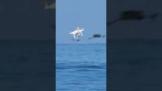 Two Drones Collide Mid-Air and Hit Surfer 