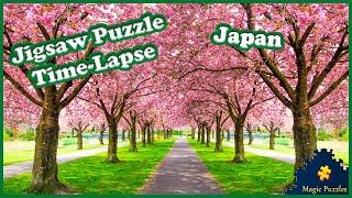 Japan. Blossoming sakura trees — Relaxing Landscape Video. Jigsaw Puzzle Time Lapse