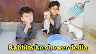 Rabbits ko nehla dia aaj  Mustafa Hanif BTS