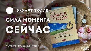 Экхарт Толле - Сила Настоящего. The Power of Now | Аудиокнига | Озвучка: Владимир Князев
