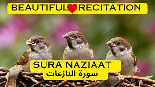 Sura Al Naziaat || سورة النازعات || Mahmud Huzaifa