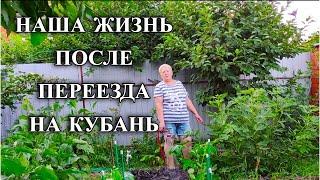 634ч Всё о жизни "переех"/Живём на юге в п.Родники Белореченского района/Переехали на Кубань