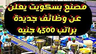 مصنع بسكويت يعلن عن وظائف جديدة براتب 4500 جنيه مع حوافز مجزية  | وظائف خاليه - وظائف اليوم 2023