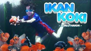 DJALU HAKIM - Ikan Koki - Offcial Music Video