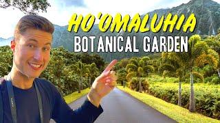 Ho'omaluhia Botanical Garden Tour & Guide | Things to Do Oahu, Hawaii