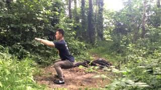 Wu Bu Quan 五步拳 (Five stances form) Part 1 Master Yan Xin