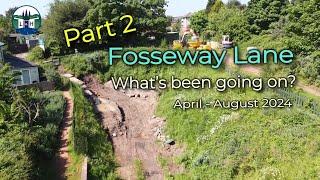 What's been going on at Fosseway Lane - Part 2