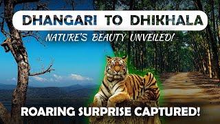 Jim Corbett national park | Dhangari gate to Dhikala FRH | corbett tiger reserve |