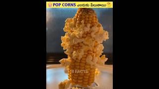 Everything You Need To Know About Popcorns#shorts #viral