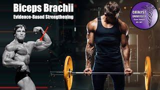 Biceps Brachii | Strengthening Best Practices