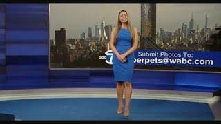 ABC7 New York’s Super Hot Dani Beckstrom On 072024