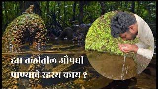 लाखो वर्षांपासुन जपलेल्या "देव झऱ्यांचे" रहस्य | Sacred wetlands of Goa and Konkan